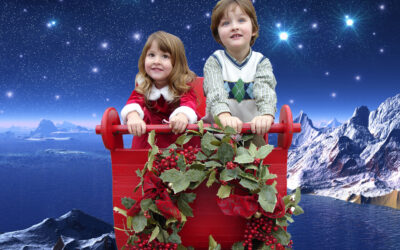 Stuck for a Seasonal Gift? Two Great Ideas for You