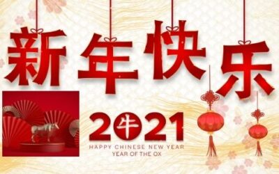 New Year New Language: Learning Chinese in the Year of the Ox