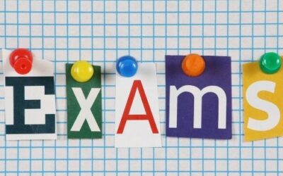 Modern Foreign Languages GCSEs Making the Grade