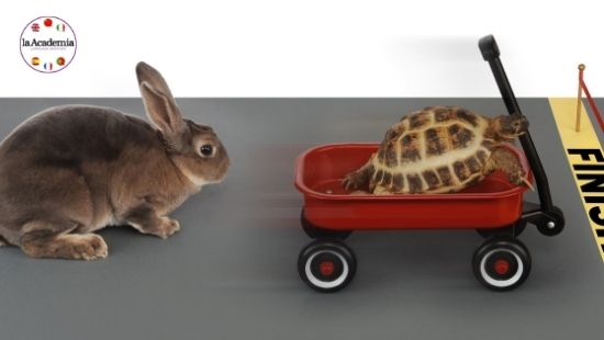 A hare and a tortoise representing why learning a new language can be quicker for adults than children