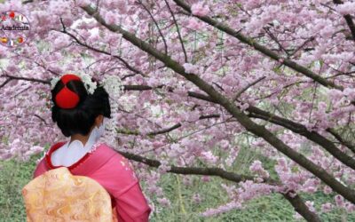 5 Essential Life Lessons from Japan