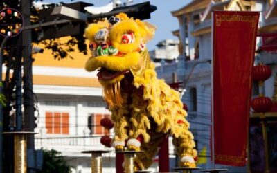 Why 2024 is Your Year to Enter the Dragon’s Den of Learning Chinese